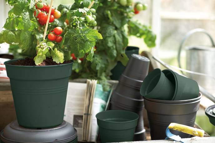 green basics growpot 11cm leaf green